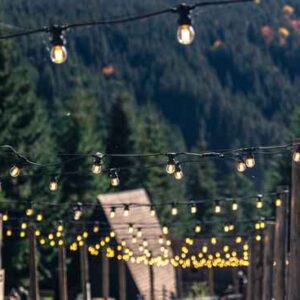 Holiday Light Hanging / Removal